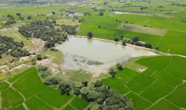 Fields revived through the watershed project Fields revived through the watershed project