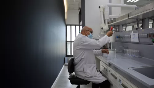 Novartis Egypt