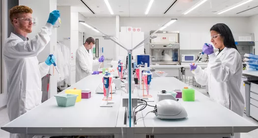 Novartis Wissenschaftlerinnen und Wissenschaftler in moderner Laborumgebung.