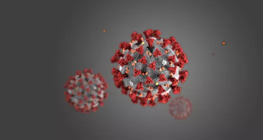 multiple coronavirus illustration edit image_1