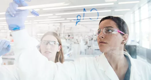 Un scientifique écrit sur un mur de verre