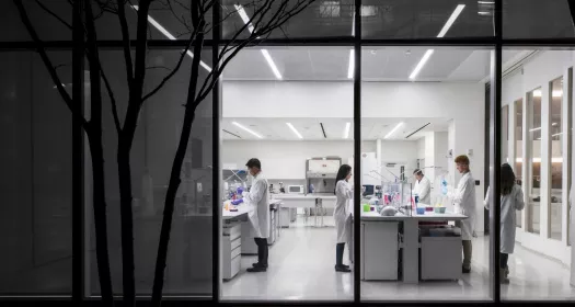 Novartis Türkiye