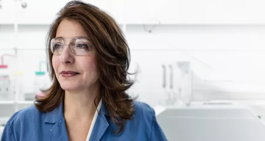 מומחי בריאות